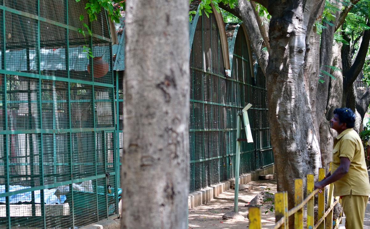 The zoo’s license from the Central Zoo Authority of India has been cancelled due to lack of sufficient space for the animals