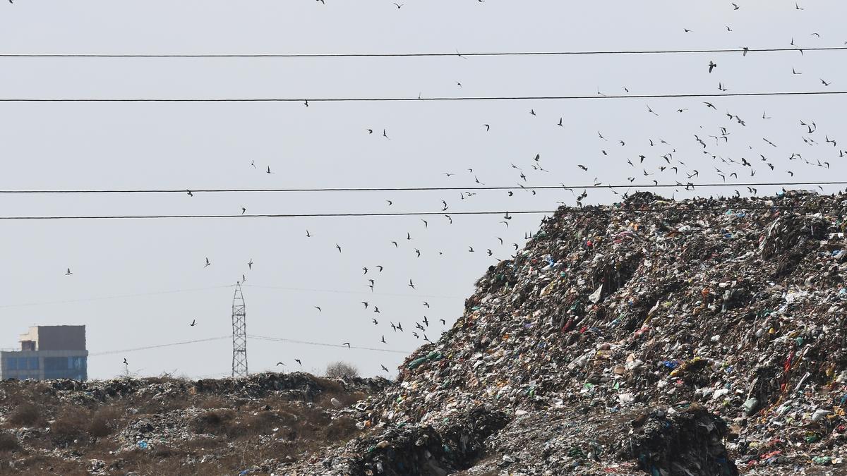 Officials from Chennai, other parts of T.N. to visit Europe to study waste management techniques in May