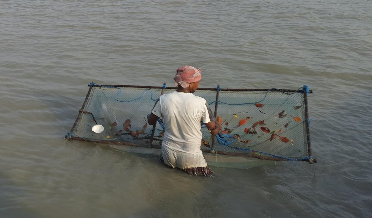 A Sundarbans fisher with his net. A Sundarbans fisher with his net.