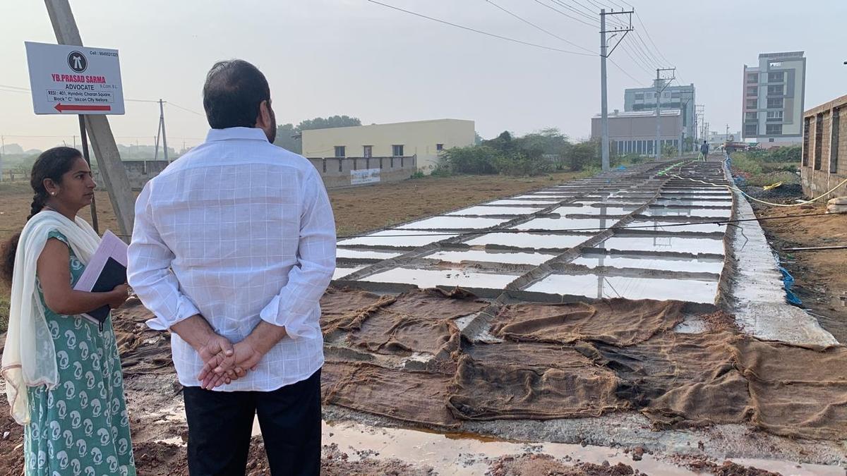 339 developmental works in Nellore Rural constituency near completion do sex