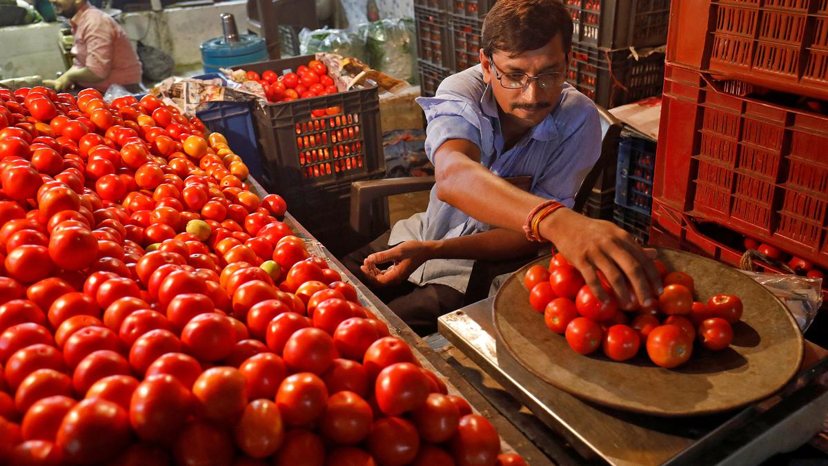 ‘560 tonnes of tomatoes sold at ₹70/kg in Delhi, U.P., Rajasthan in last 15 says’