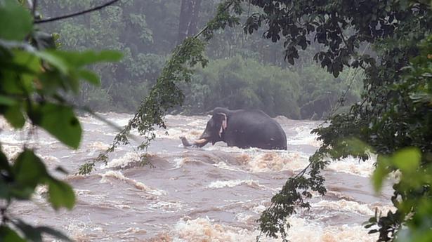 Torrential rain lashes Thrissur, low-lying areas under water