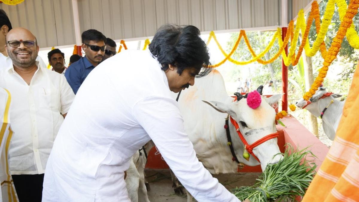 Empowering Dairy Farmers: Pawan Kalyan's Vision for Andhra Pradesh Cover