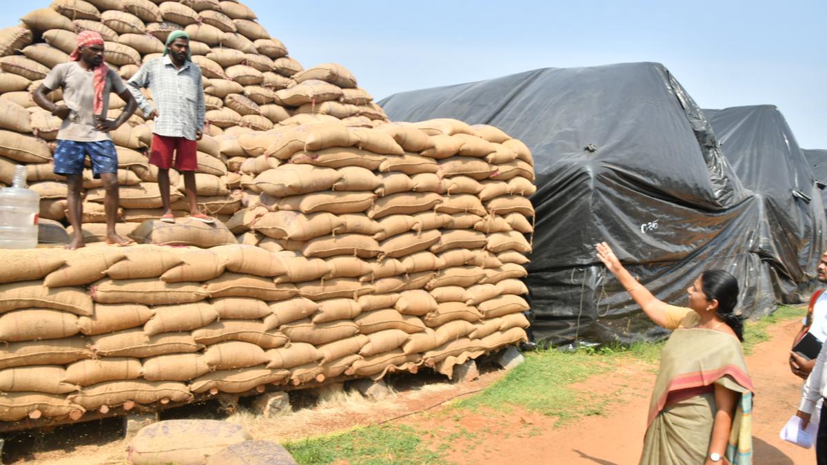 Allegations of 7,000 tonnes of paddy missing from Dharmapuri godown fed ...