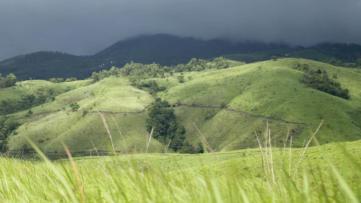 ‘Assault’ on family in Kerala’s Vagamon rekindles tourist safety concerns