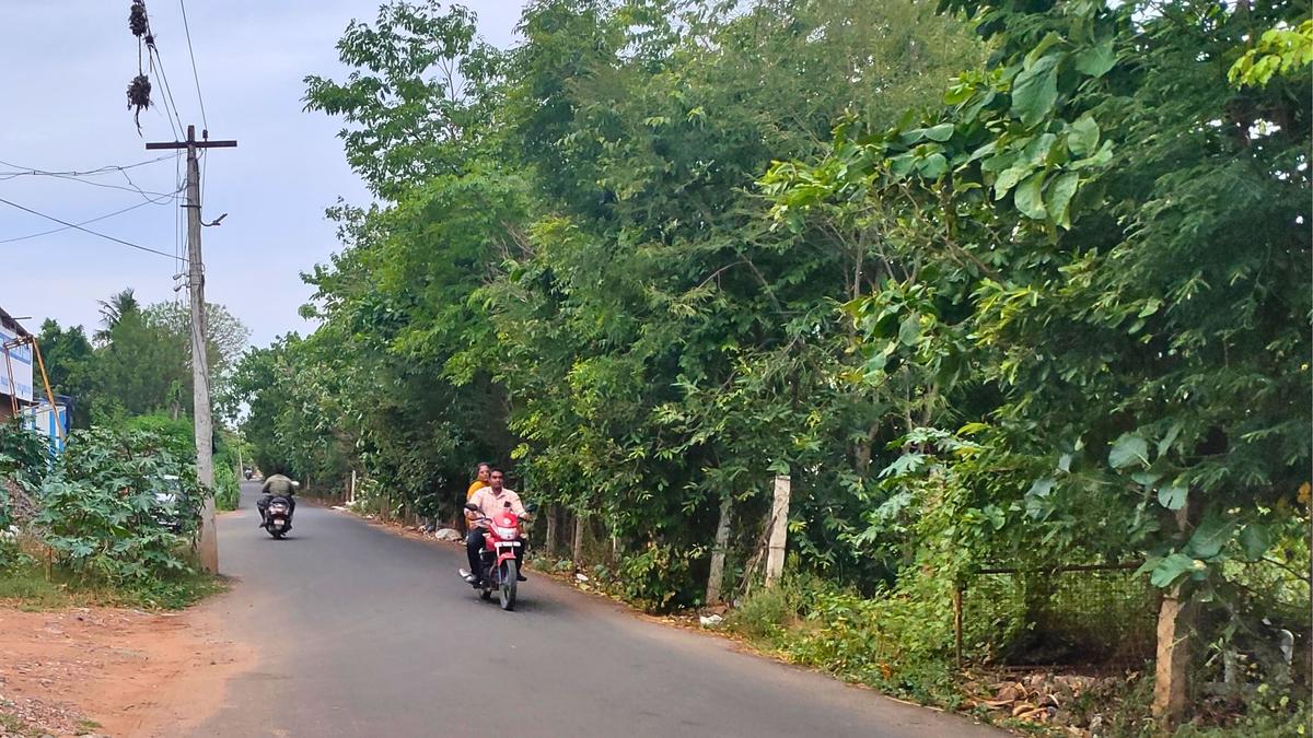 Lack of street lights on East Canal Road at Varaganeri makes it unsafe, complain residents