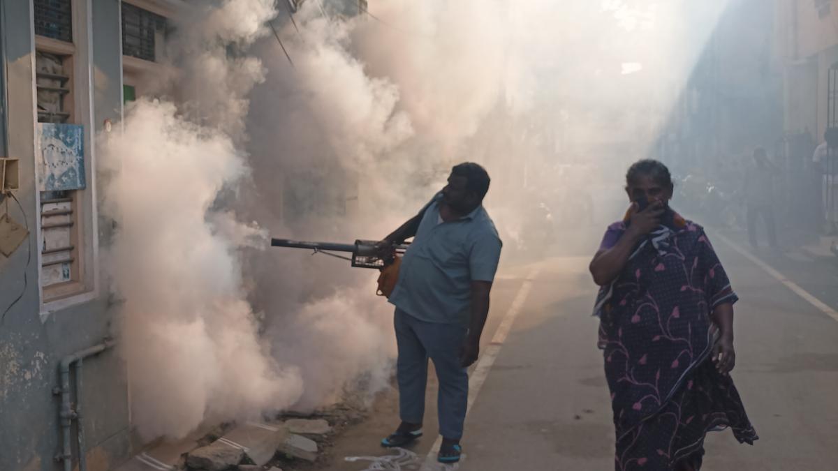 Mosquito control operations hit owing to inadequate manpower