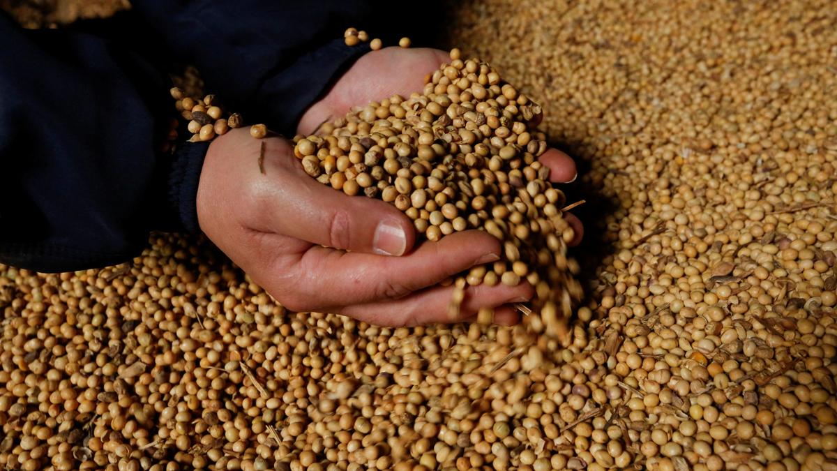 Targets not met, Centre extends deadline to procure soybean from Maharashtra, Rajasthan and Telangana