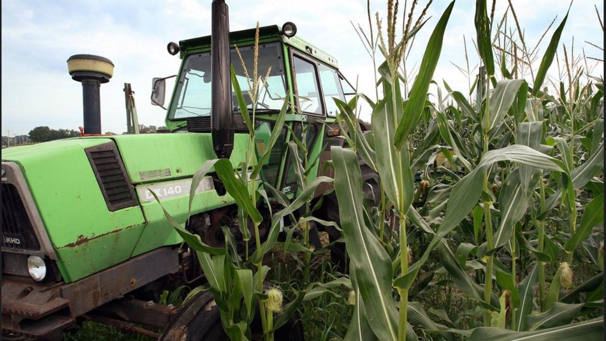 China eyeing U.S. farm exports for retaliation, report says, as importers rush to beat tariffs