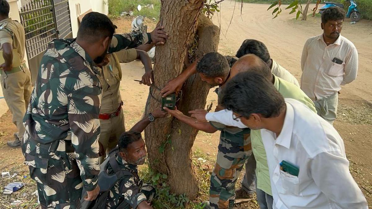 Forest Department fixes camera traps in residential area near Coimbatore as pets go missing