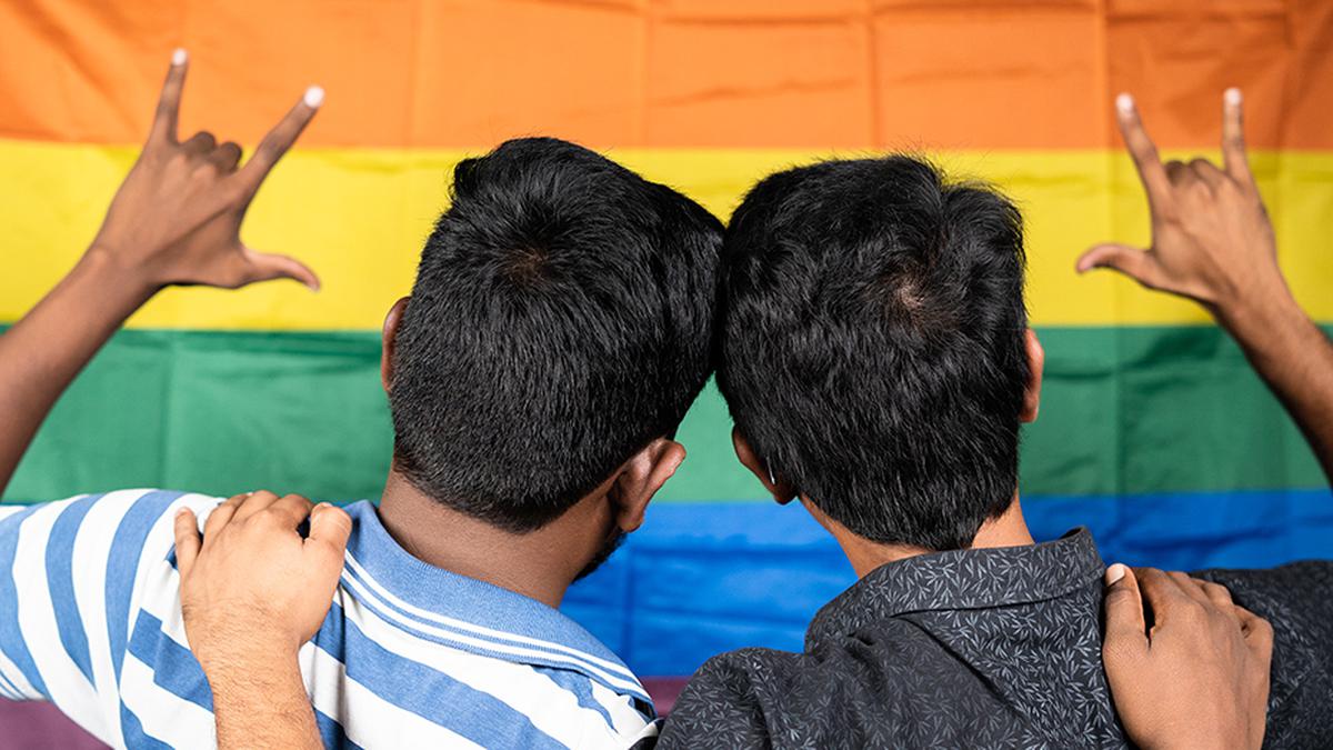 SC implicitly contemplated ‘stable, marriage-like relationships’ between same-sex persons while decriminalising homosexuality