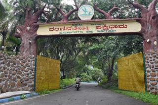 Greater Mysuru push: KSRTC eyes infrastructure boost with four new depots -  The Hindu