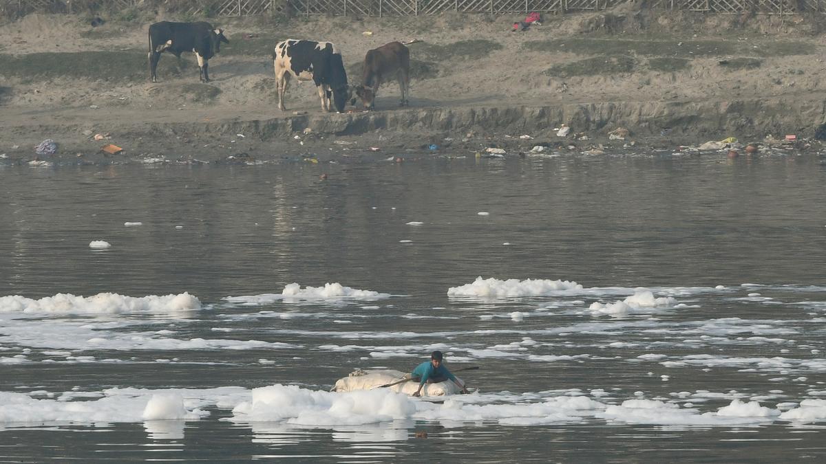 IISER Pune’s new material removes pollutants from water
Premium