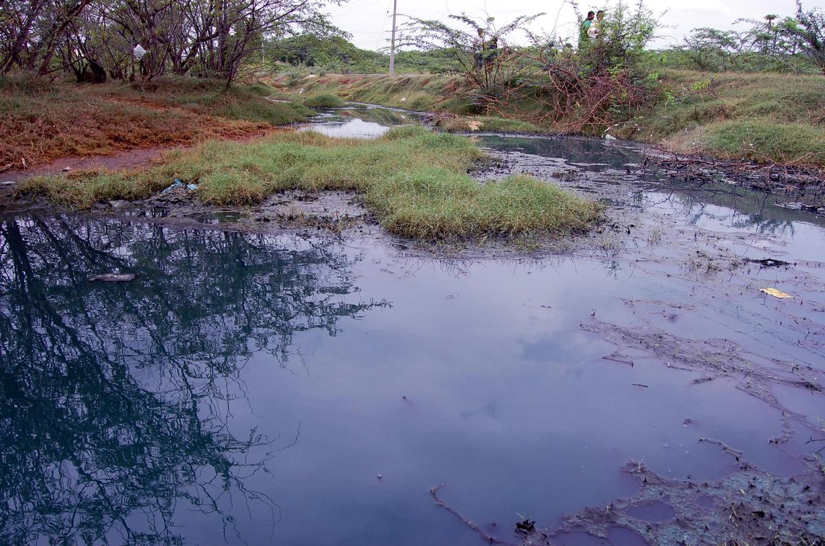 Textile chemical effluents flowing in odai at Ammapalayam merge with River Noyyal in Erode.
Photo: M. Govarthan Textile chemical effluents flowing in odai at Ammapalayam merge with River Noyyal in Erode.
Photo: M. Govarthan