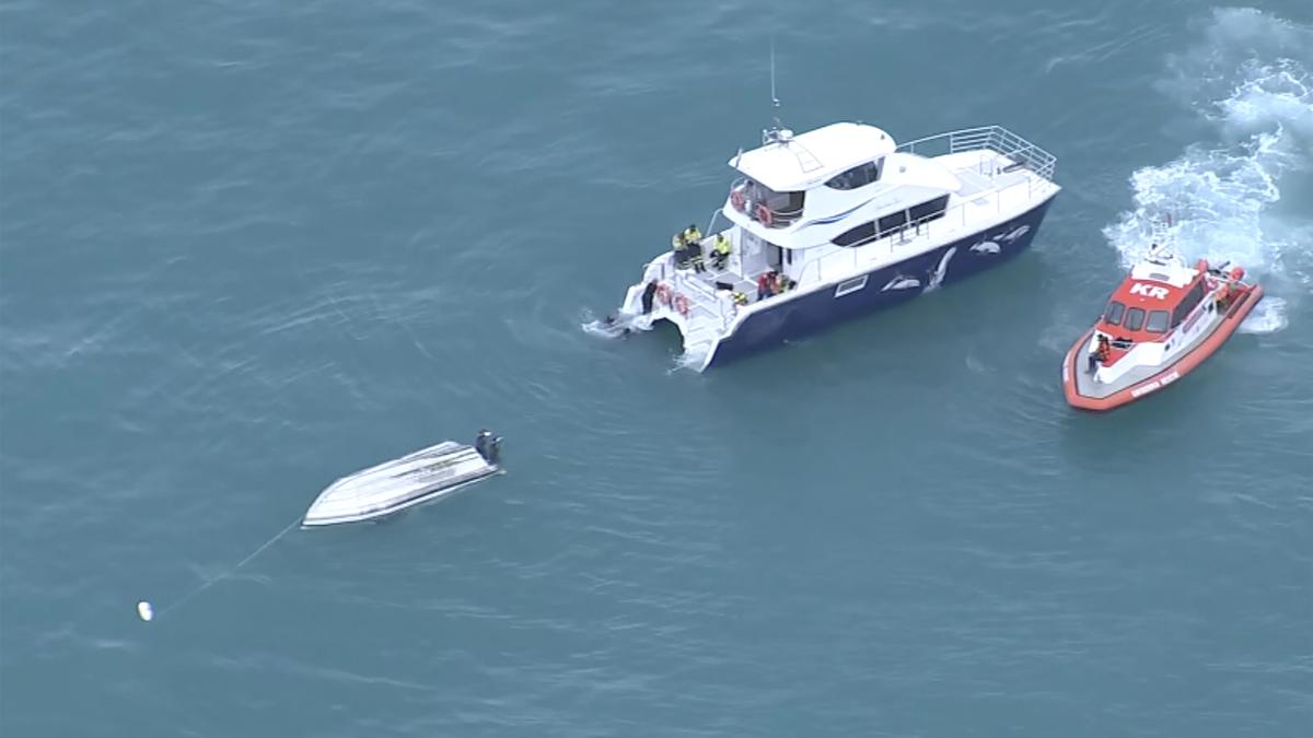 5 dead after New Zealand boat flips in possible whale strike