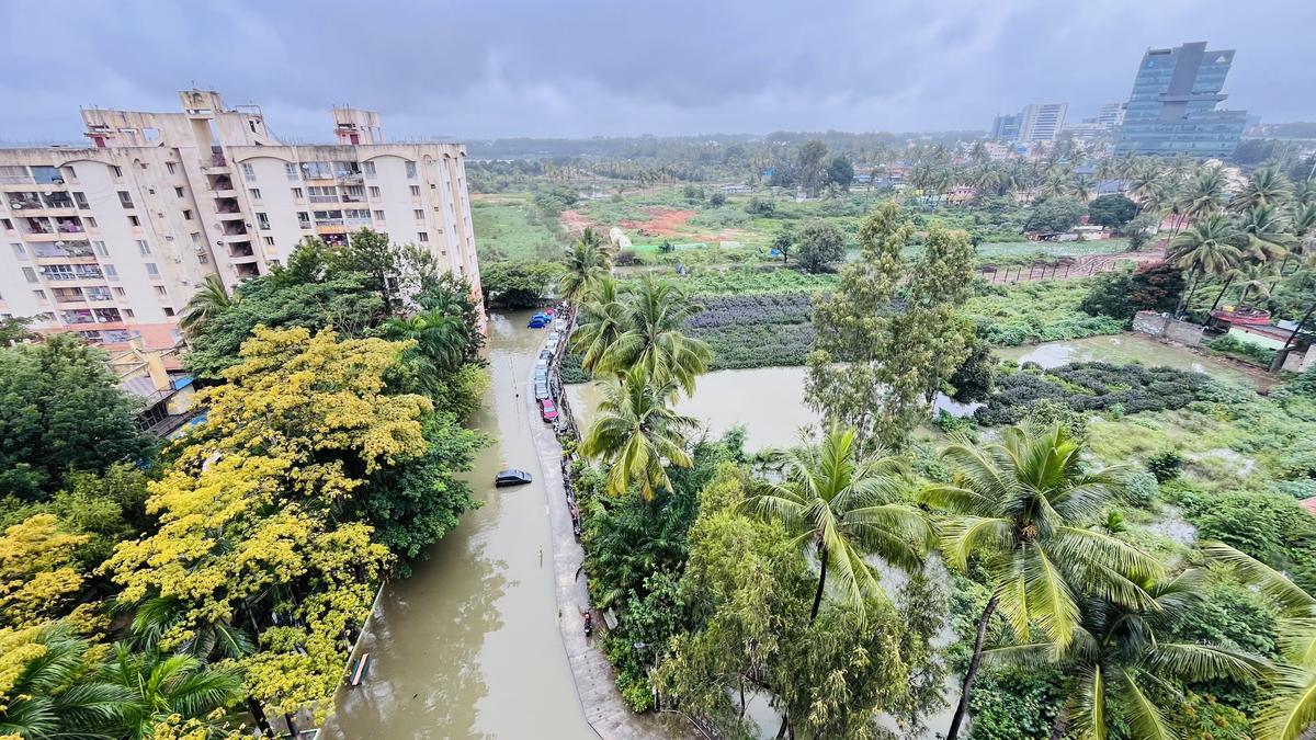 Bengaluru rains: Office-goers find relief in work-from-home on the second day of showers