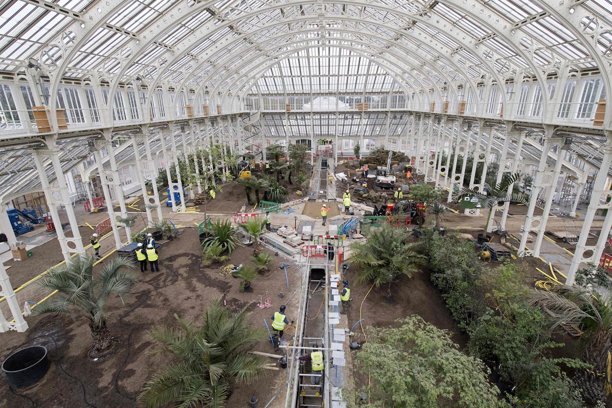 Inside the Temperate House at Kew, the largest surviving Victorian glasshouse in the world, during a restoration