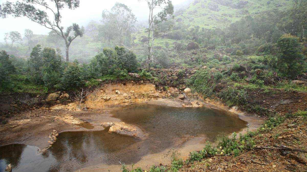 No need to fill up check dam on Chokramudi hills: report