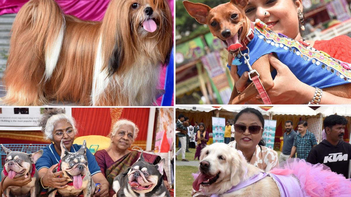 Dasara Pet Show captivates public in Mysuru