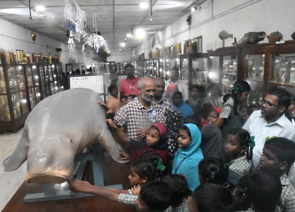 Scientists and staff of the Mandapam Regional Centre of ICAR-CMFRI explain the various exhibits to students on Friday. 