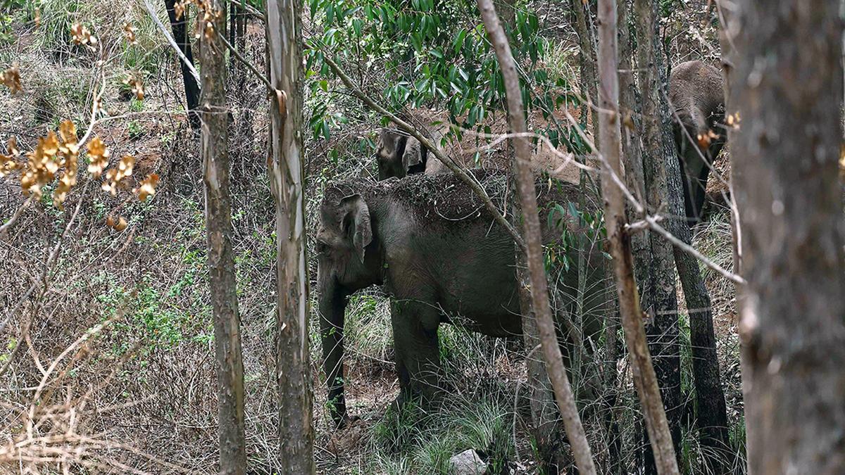 Top Kerala news developments today