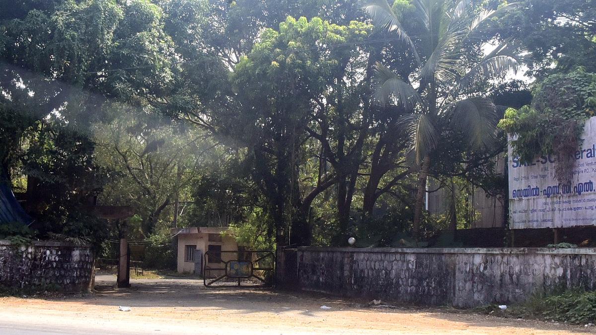 Blame-game over NCLT order on Steel Complex in Kozhikode