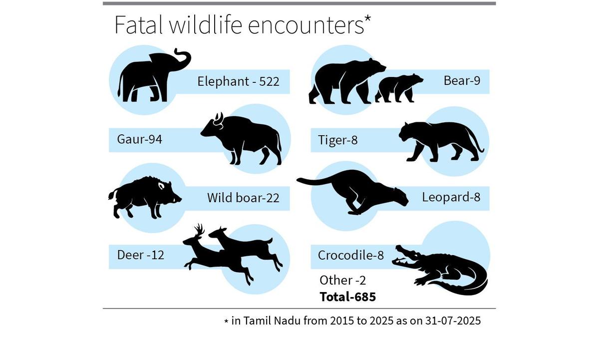 Wild animal attacks claim 685 human lives in Tamil Nadu in 10 years