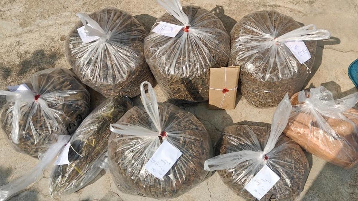 Eight arrested with nearly 16 kg ganja across raids in Hyderabad