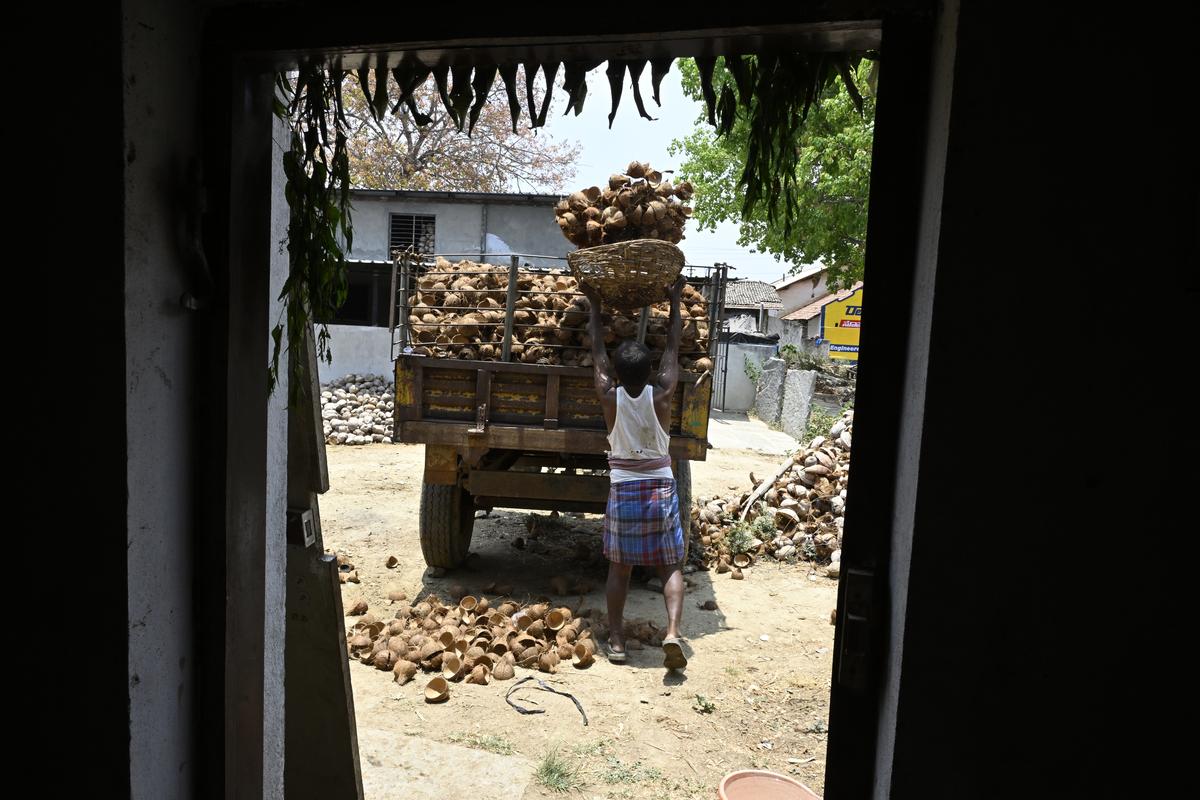 A farmer coconut shells to a vehicle at Tiptur, in Tumakuru district of Karnataka.   