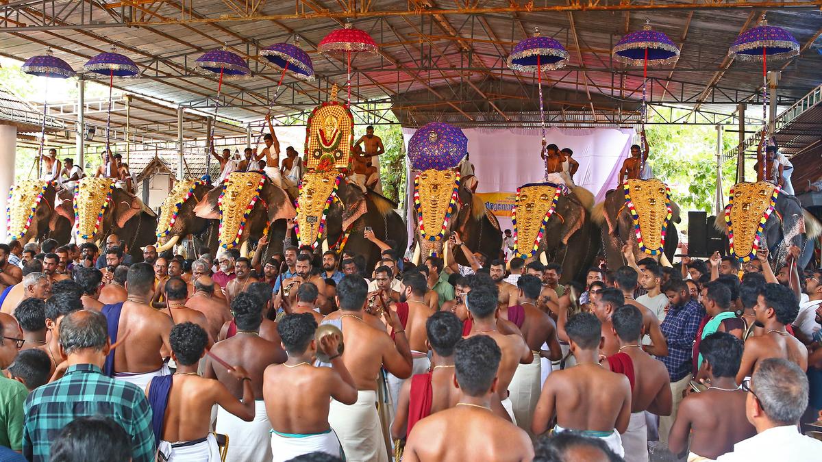 Thrikkakara all decked up for Onam