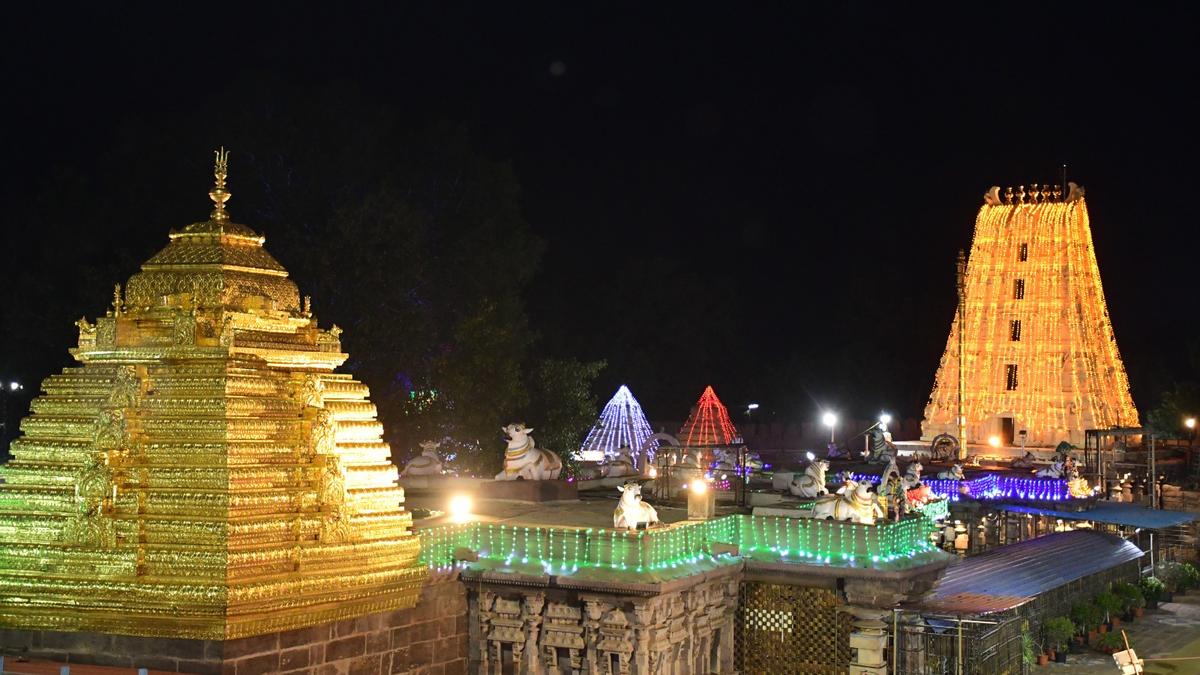 Andhra Pradesh govt. plans to develop Srisailam temple on par with Tirumala