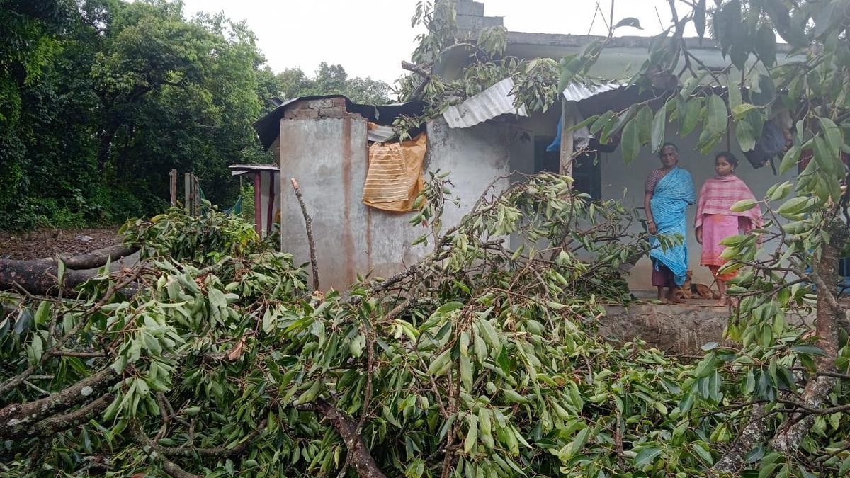 Rains lead to landslips, cancellation of NMR train services in the Nilgiris