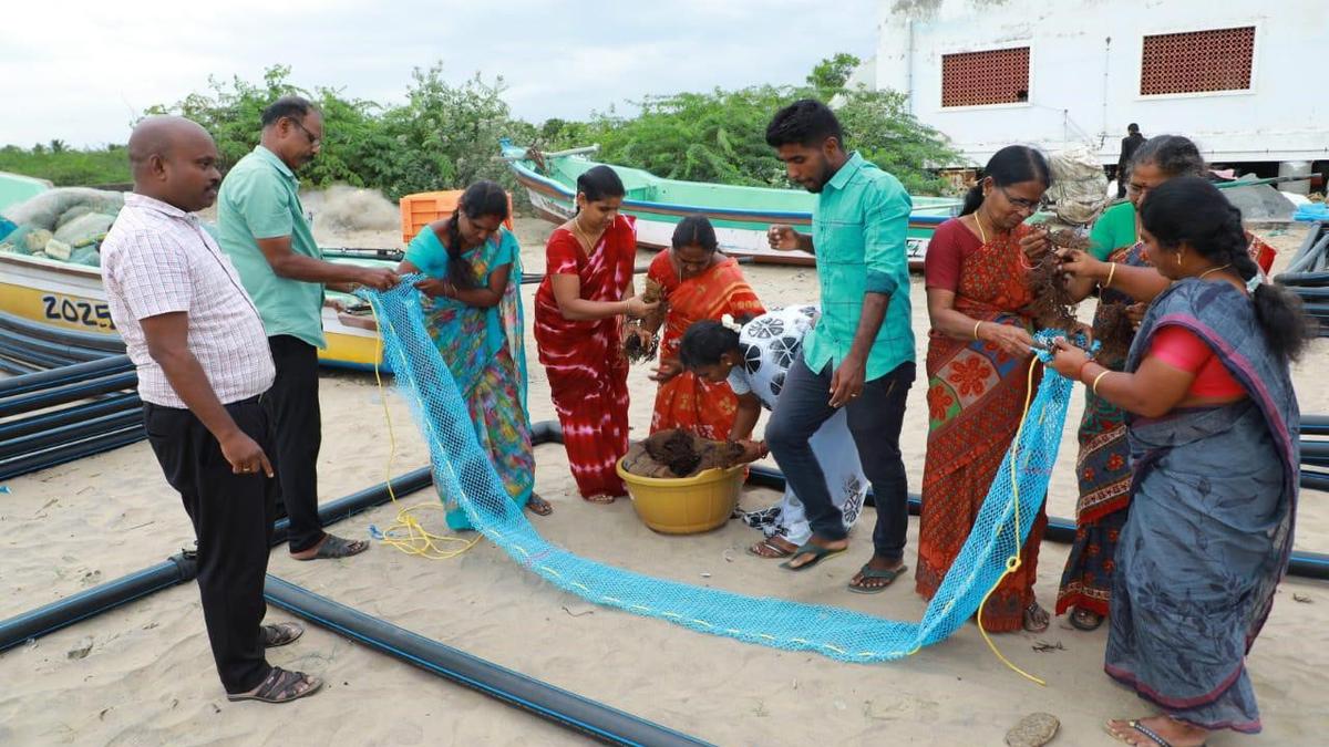 Puducherry launches pilot seaweed farming project