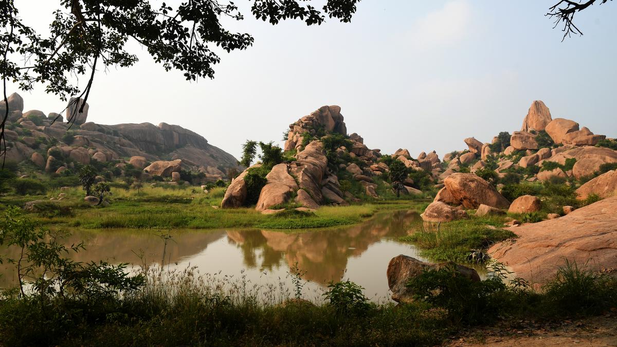 Did not receive application from Vedanta for tungsten mining, says T.N. government