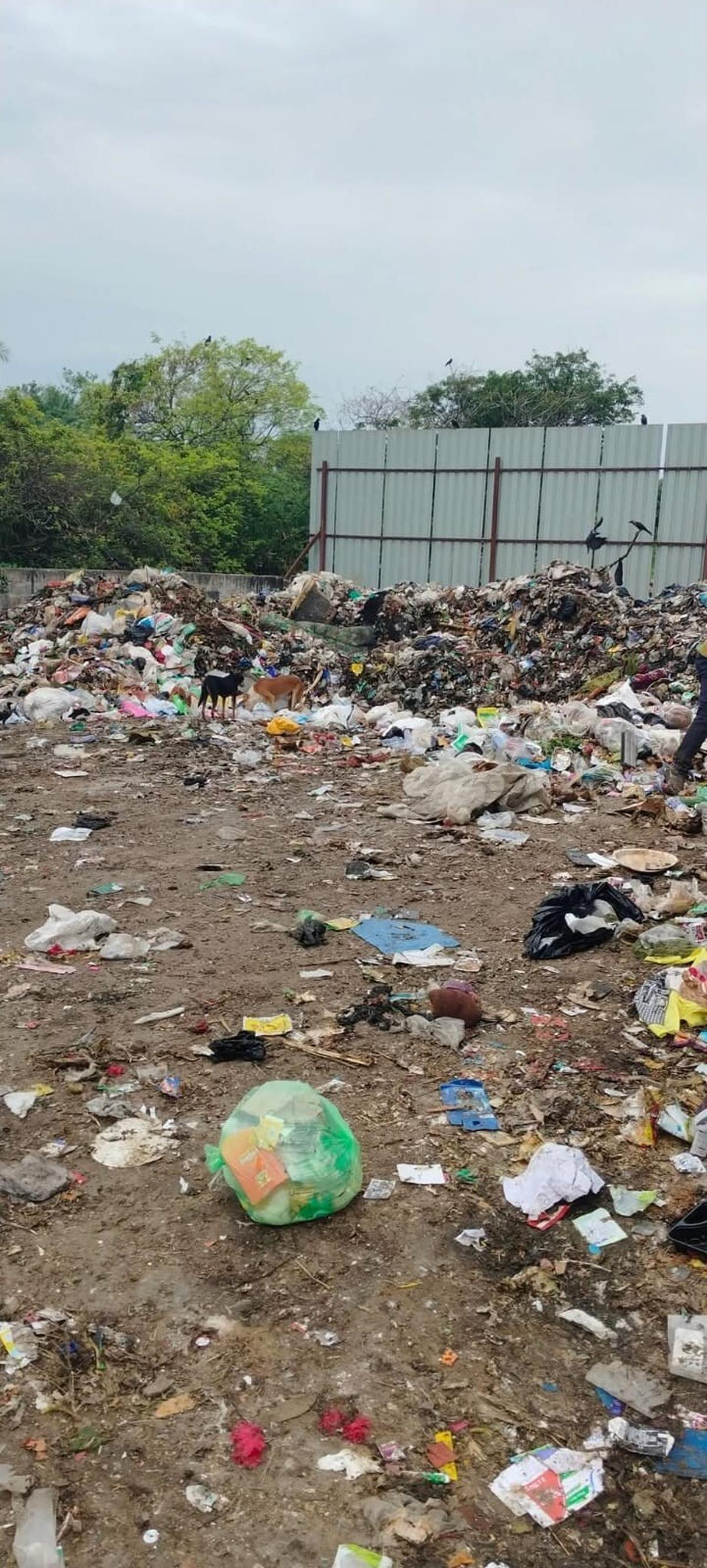 A dump site near the Nanmangalam lake. A dump site near the Nanmangalam lake.