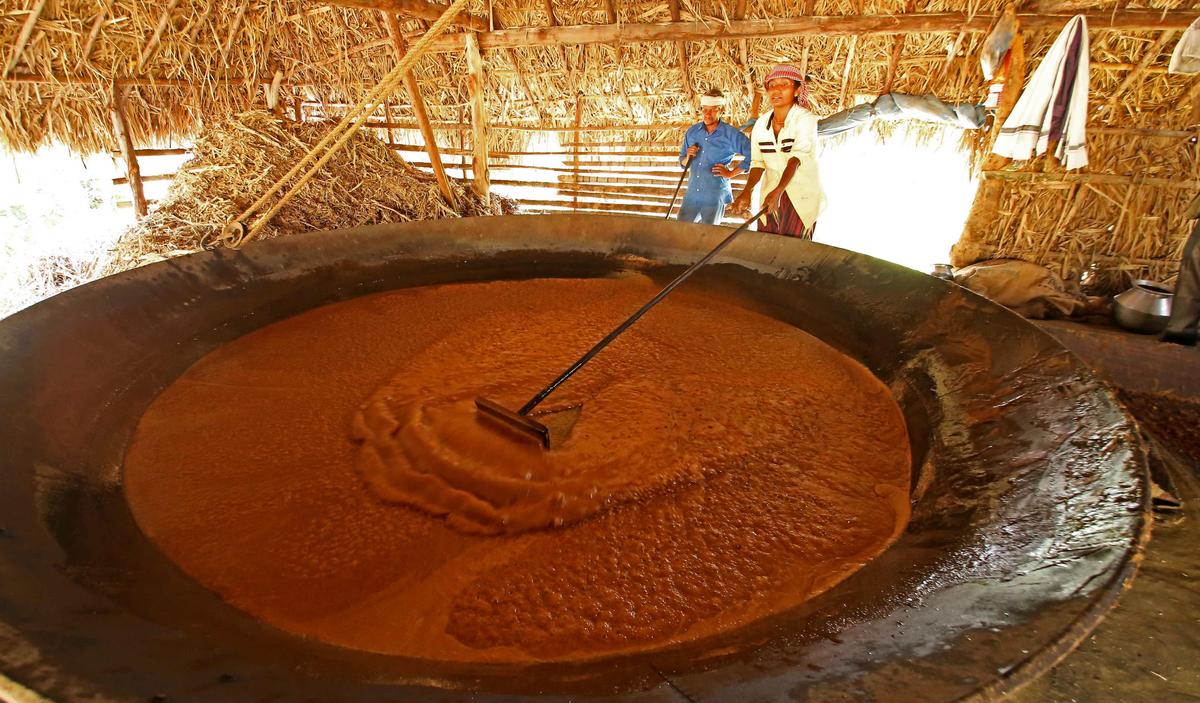 A traditional Marayur jaggery production unit 