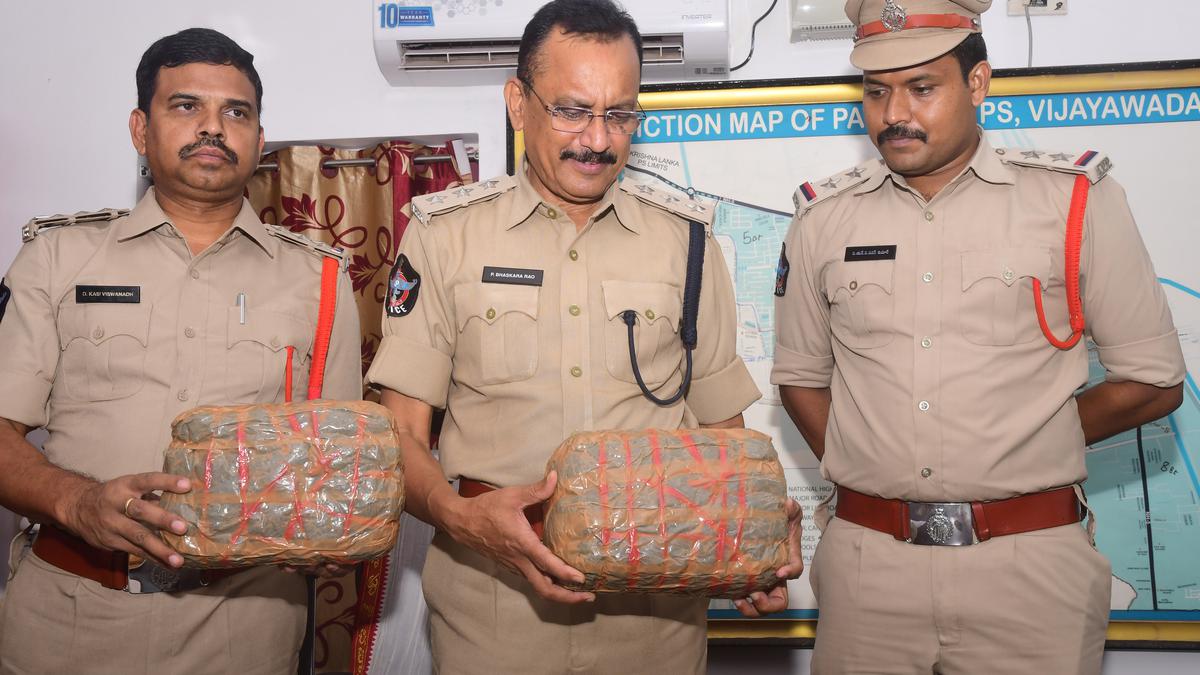 Five-member gang arrested near Vijayawada, ganja worth Rs.2.5 lakh seized