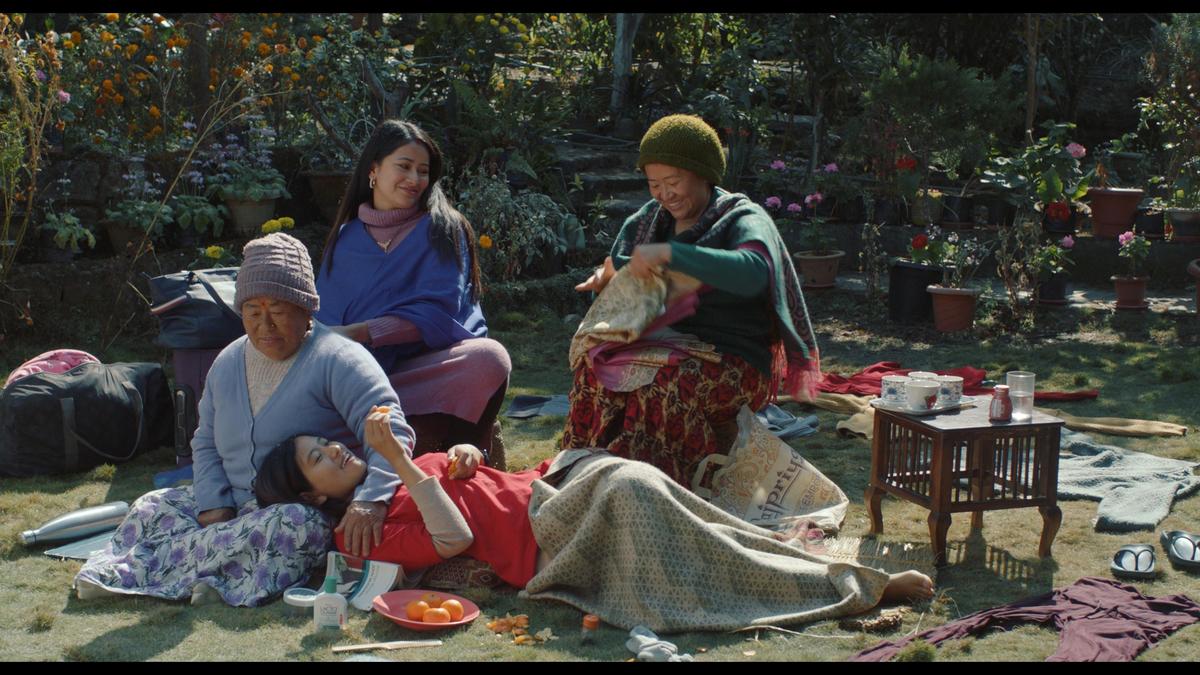 शेप ऑफ मोमो का एक दृश्य शेप ऑफ मोमो का एक दृश्य