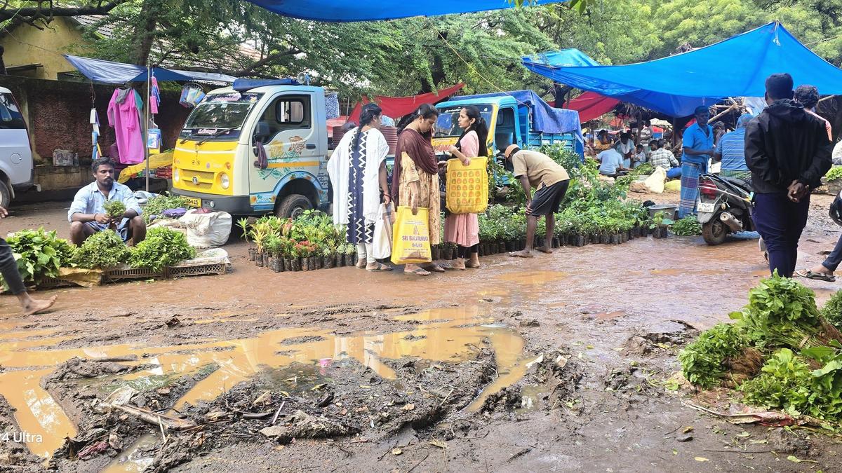 Historic Ponmalai weekly market falls into neglect amid lack of facilities