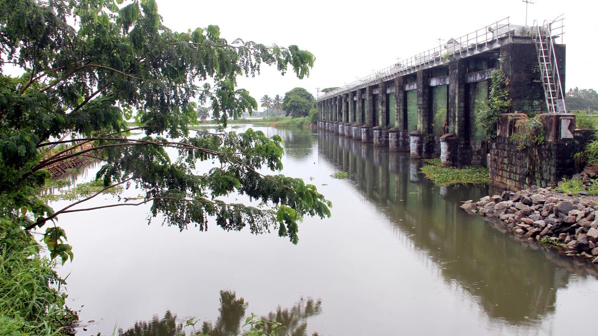 Saline intrusion kills Kole fields that provide 40% of Kerala’s rice requirement