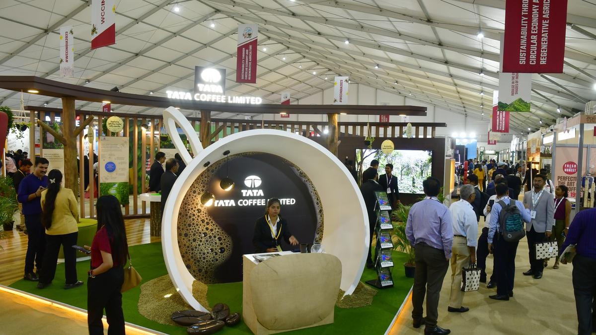 Show the way to up ‘living income’ of coffee farmers, say experts