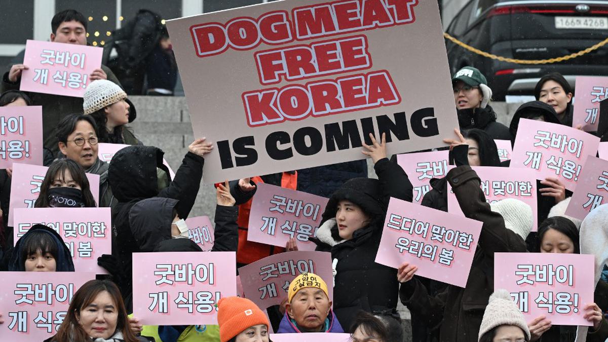 South Korea parliament passes Bill banning dog meat trade
