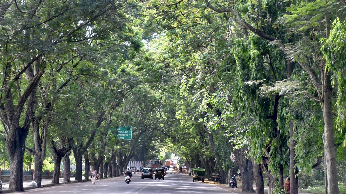 Swachh Survekshan 2024: First round of survey completed in Mysuru