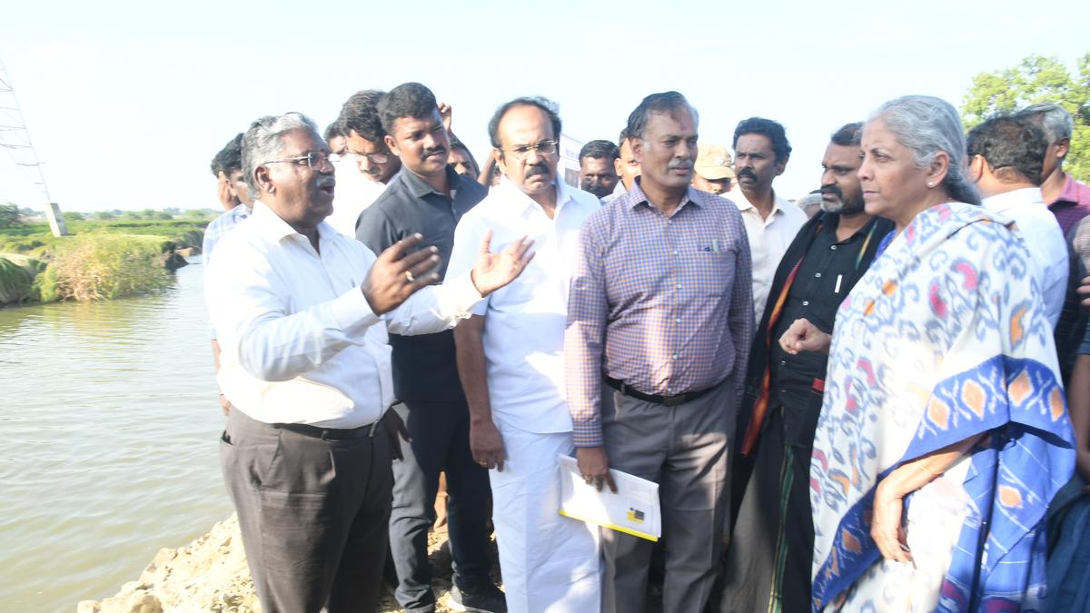 Union Finance Minister directs insurance companies to quickly settle claims of farmers affected by floods in Thoothukudi