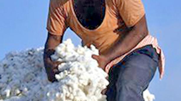 Cotton stocks to be lower than expected