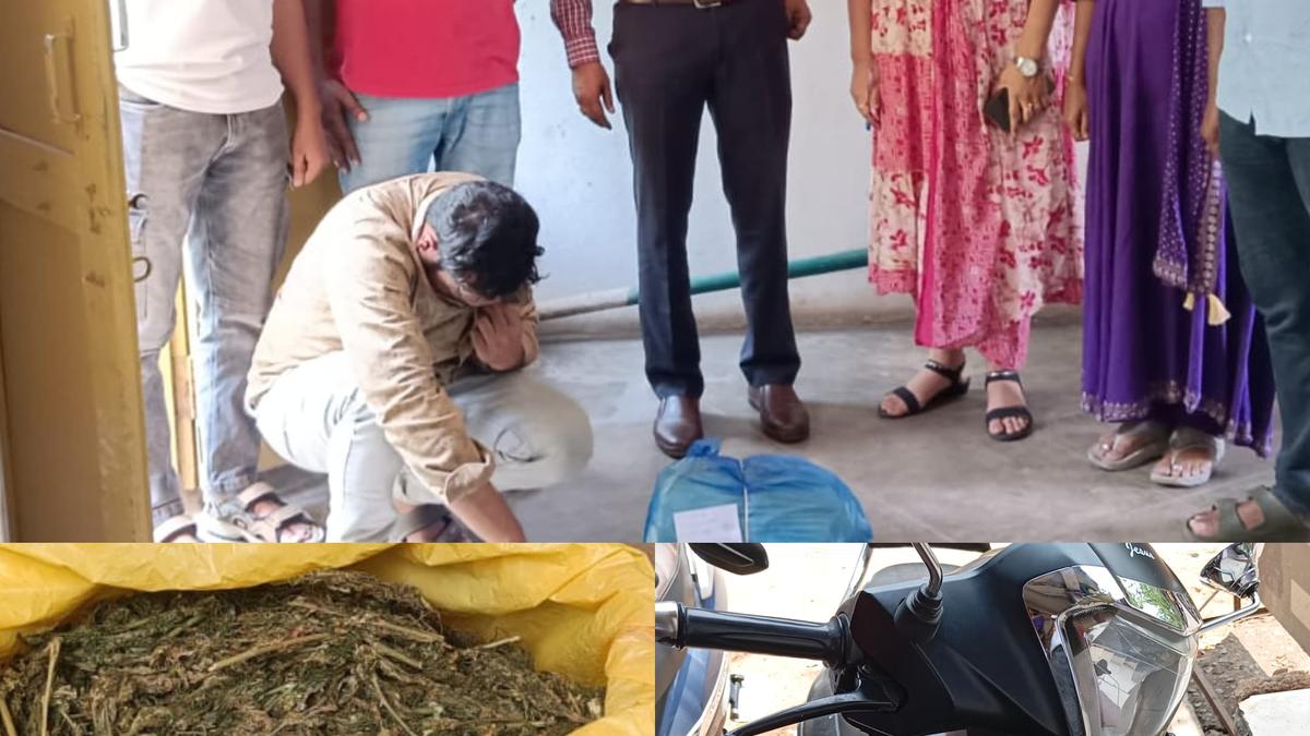 Three peddlers arrested, over 3 kg ganja seized by Excise officials