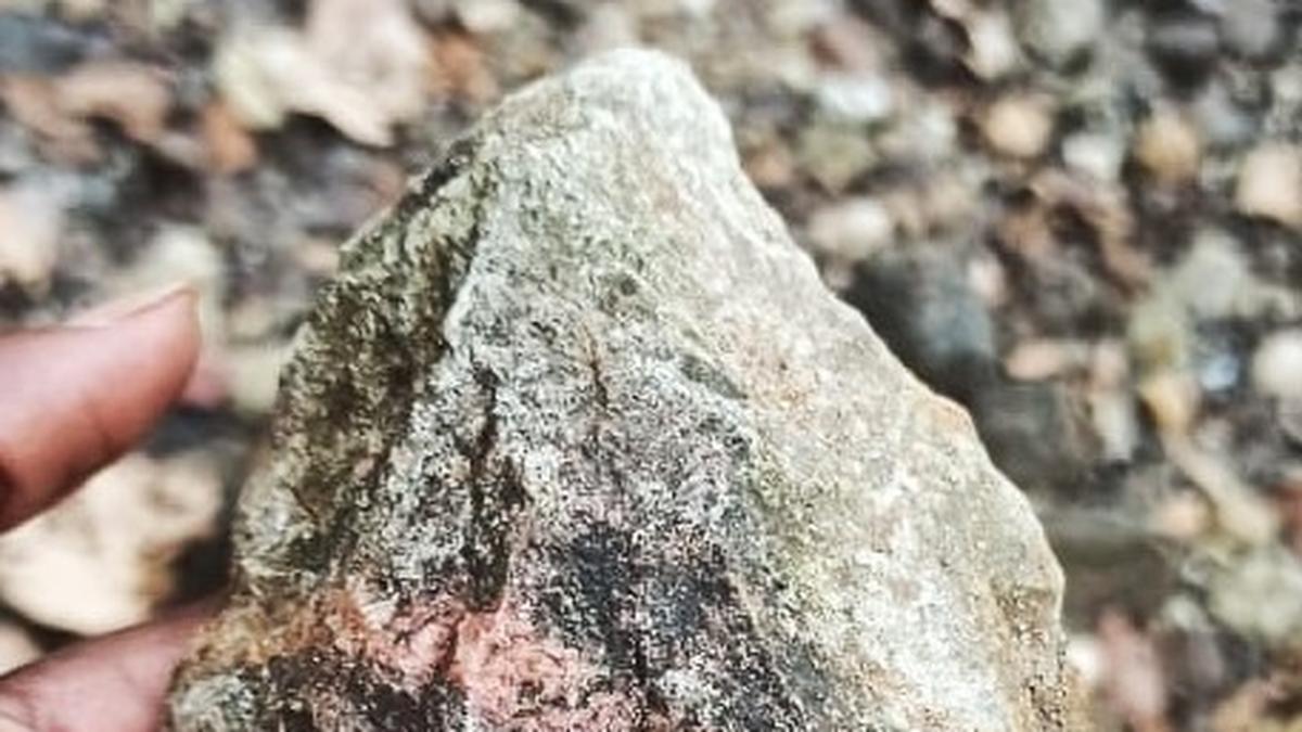 Palaeolithic tool discovery adds to understanding of human settlements in Telangana