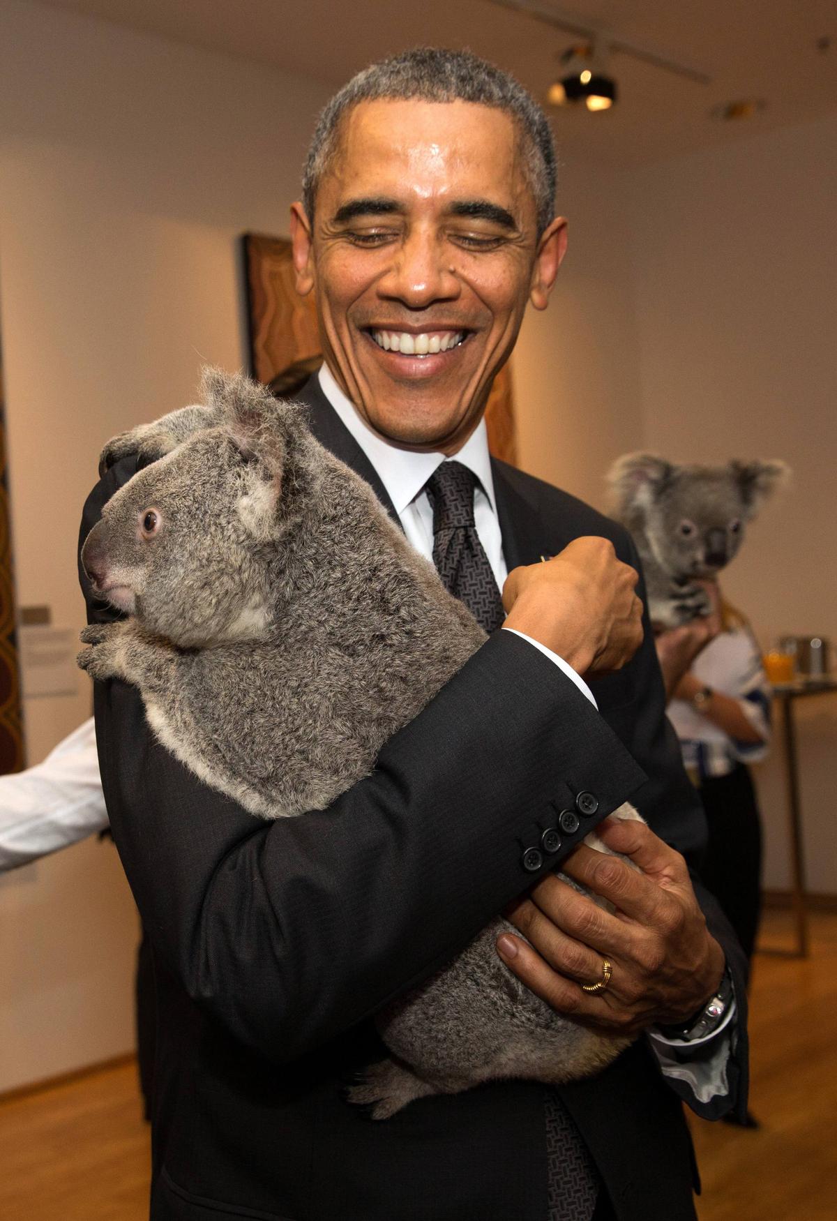 What is animal diplomacy, a longstanding tradition of soft power(00)