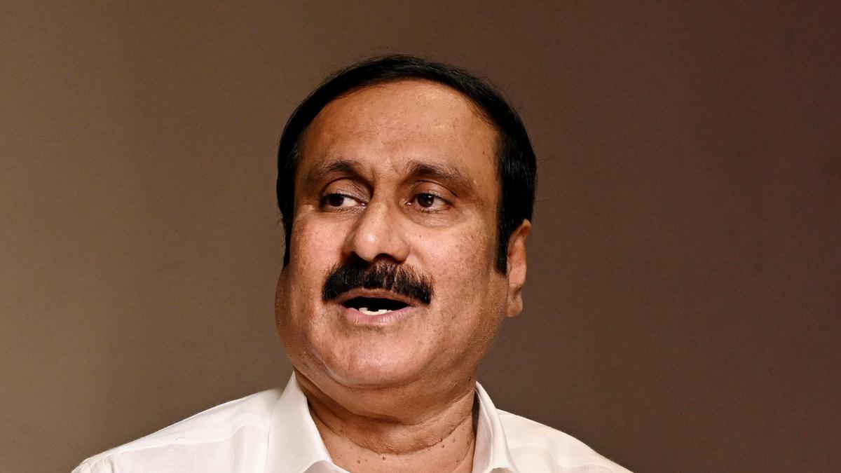 TVK’s victory is not a tsunami or a wave: Anbumani