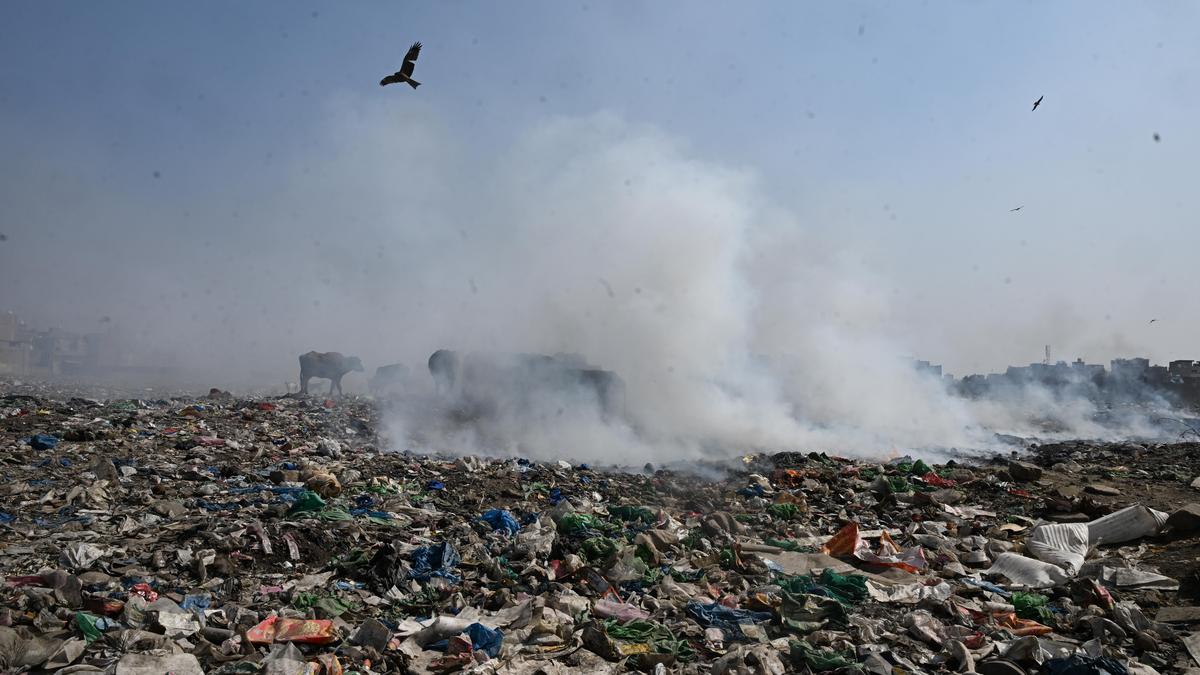 204 of 238 Indian cities did not meet air quality standards: CREA